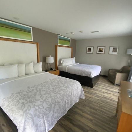 Red Roof Inn Plus & Suites 탬파 외부 사진