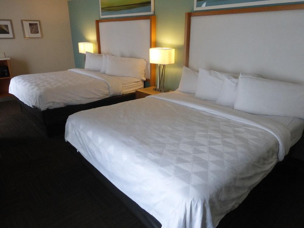 Red Roof Inn Plus & Suites 탬파 외부 사진